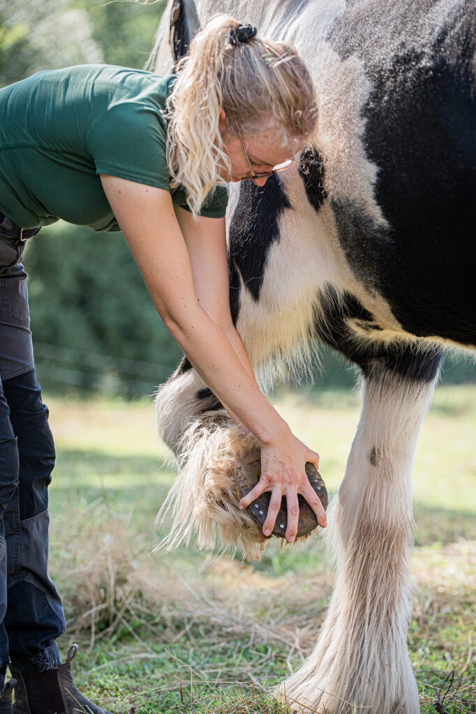Therapeutin steht neben dem Pferd, hat ein Vorderbein angehoben und greift mit der Handfläche den Huf von unten
