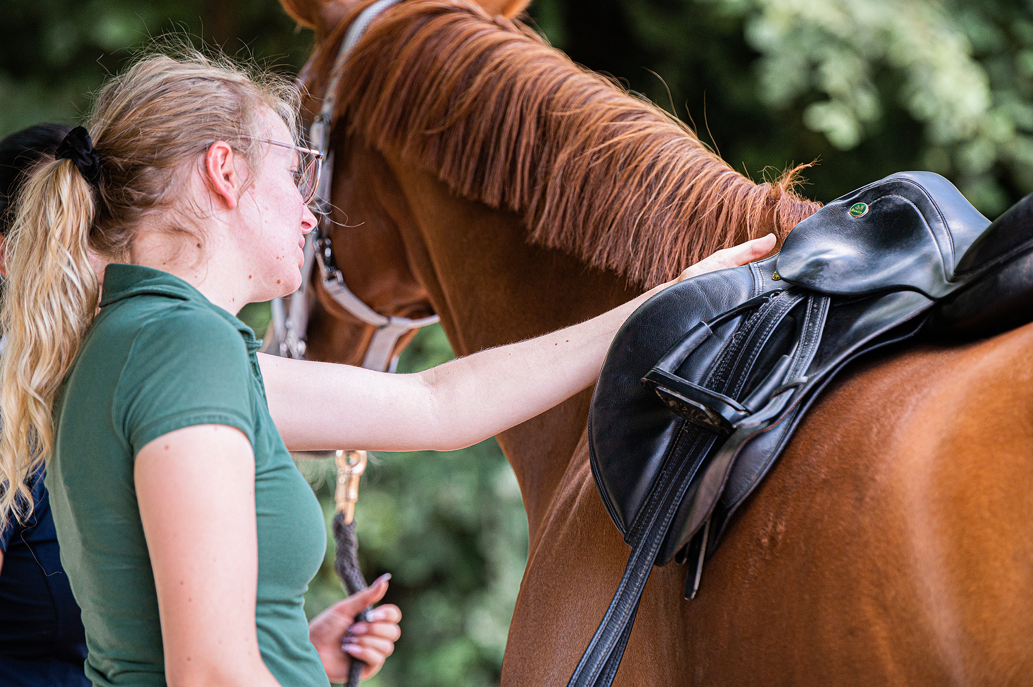 Therapeutin bei der Sattelkontrolle. Eine Hand streicht vorne unter dem Sattelblatt entlang